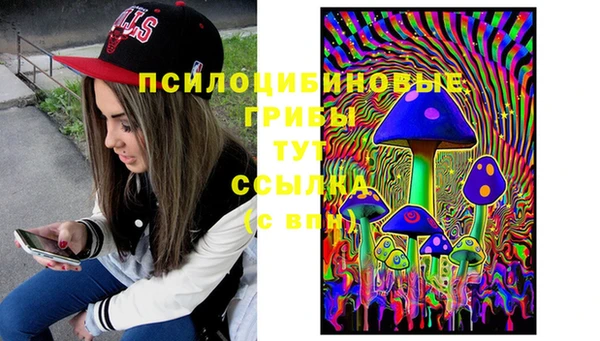 прущая мука Алзамай